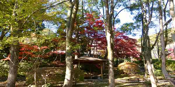 Парк Икута Риокучи