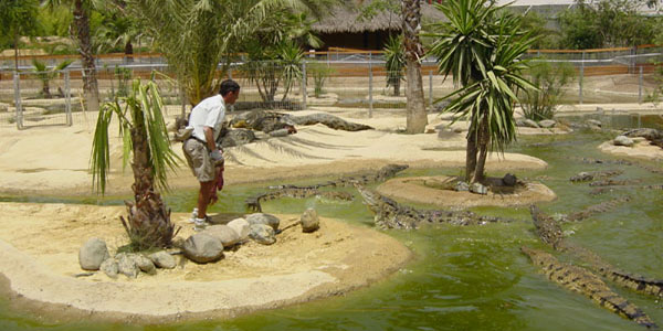 Парк Крокодилов
